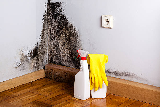 Water Damage Restoration in Morgantown, WV